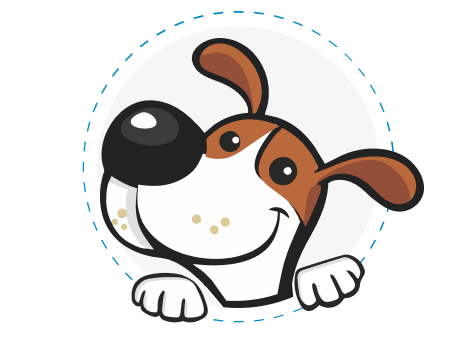 Разработка Интернет-магазина зоотоваров Тотошка